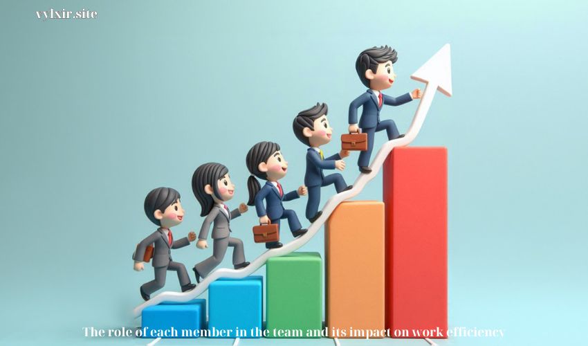 The role of each member in the team and its impact on work efficiency